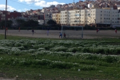4878 15-1 Football match