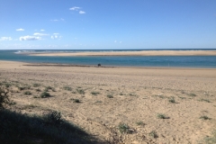 4897 15-1 Beach & camel