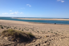 4898 15-1 Beach & camel