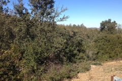 4927 16-1 view