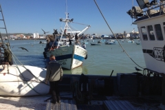 4943 16-1 boats