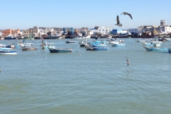 4946 16-1 boats