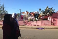 4988 17-1 washing lines pink house