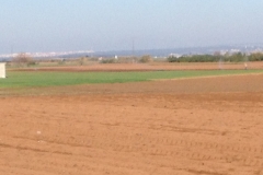 4992 17-1 field