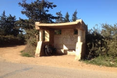 5007 17-1 Bike in shade