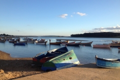 5018 17-1 boats