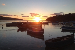 5023 17-1 sunset boats