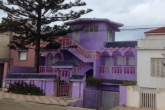 5031 18-1 purple house