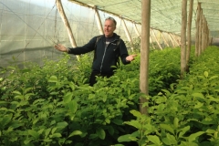 5122 21-1 Mohamed's farmAnders