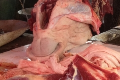 5248 22-1 meat stall
