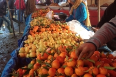 5250 22-1 oranges and lemons