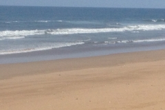 5383 24-1 Beach