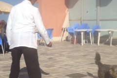 5385 24-1 Hotel Firdauos terrace