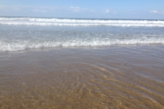 5393 24-1 Sea paddle