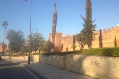 5433 24-1 wall and road
