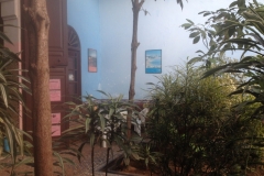 5440 25-1 trees