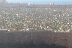 5460 25-1 cemetery