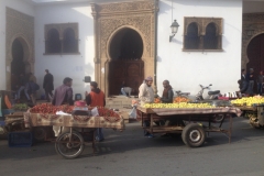 5492 25-1 fruit barrows