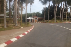 5531 26-1 Road into palms