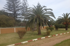 5533 26-1 Road into palms