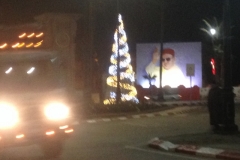 5566 27-1 light tree