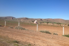 5585 28-1 fields