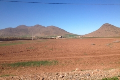 5598 28-1 fields and hills