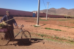 5599 28-1 local cyclist