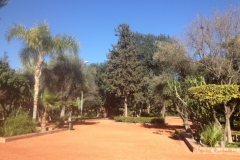 5651 29-1 trees