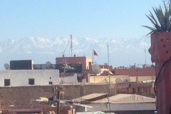 5674 29-1 Rooftops