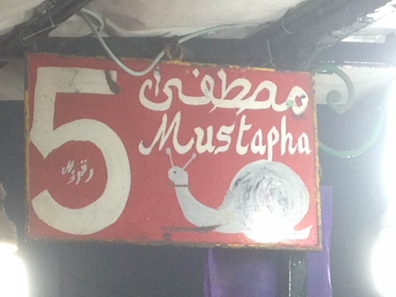 5691 30-1 Mustafa snail