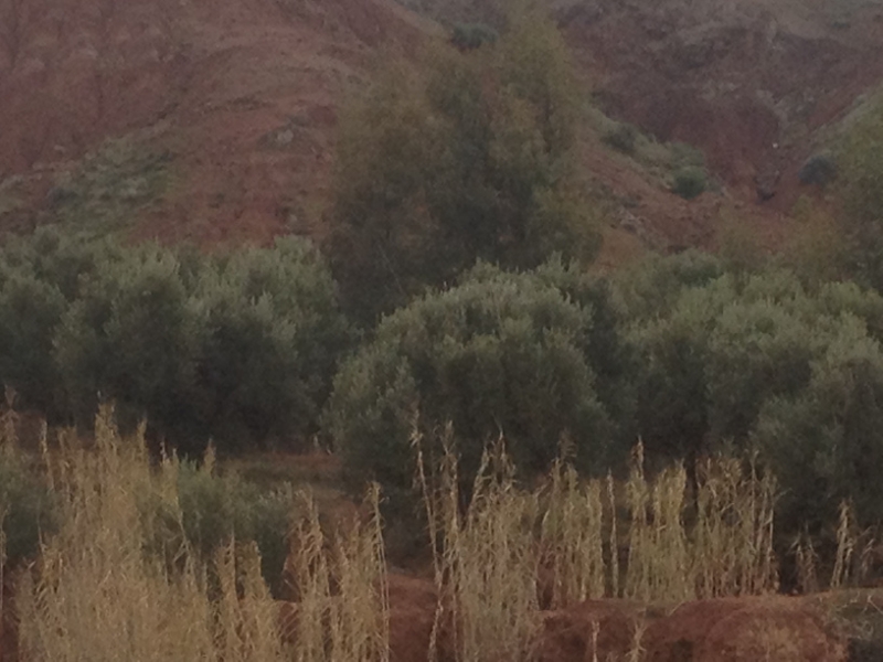 5719 31-1 view