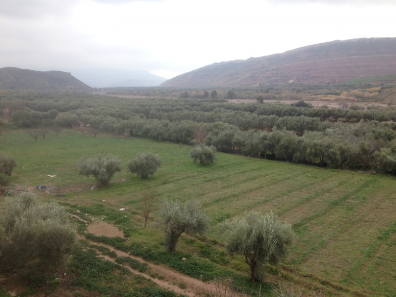 5724 31-1 fields