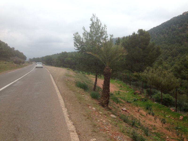 5730 31-1 roadview