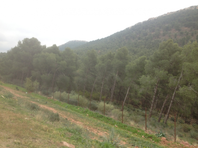 5732 31-1 view