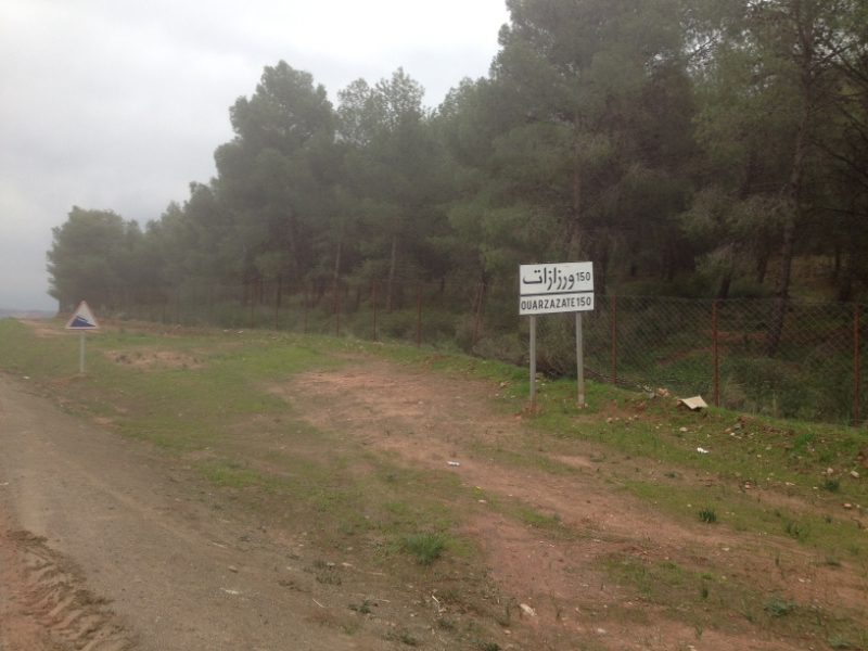 5733 31-1sign