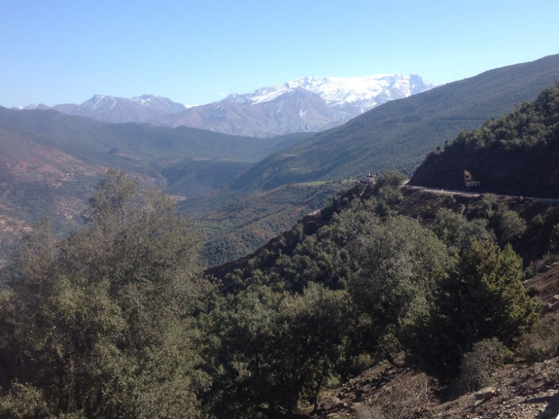 5768 1-2 view across valley