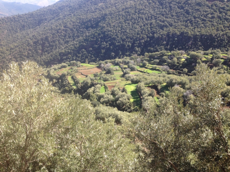 5771 1-2 mountain farm