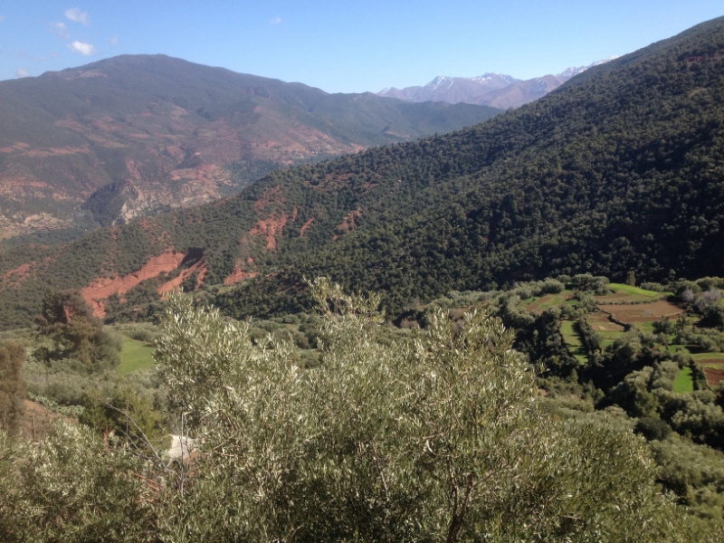 5772 1-2 mountain farm