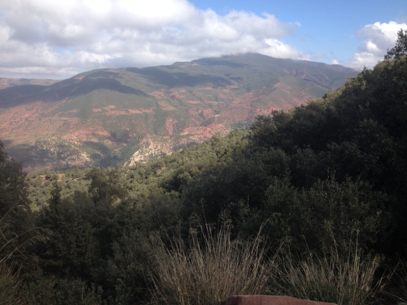 5776 1-2 view