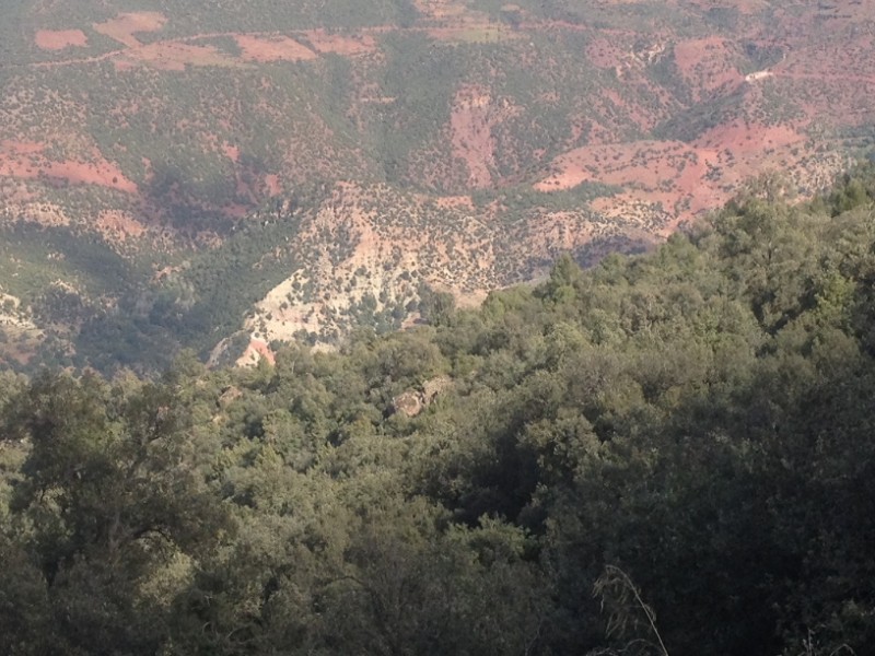 5777 1-2 view