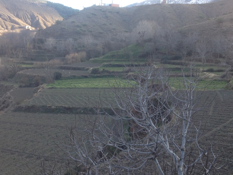 5826 1-2 Village