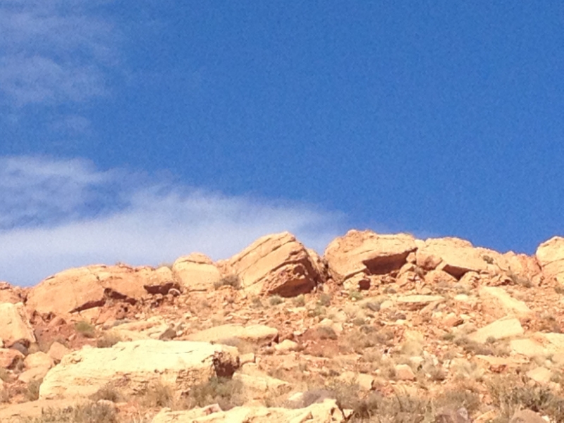 5950 2-2 mountain