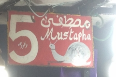 5691 30-1 Mustafa snail