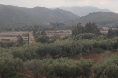 5725 31-1 fields