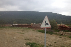 5726 31-1 deer sign