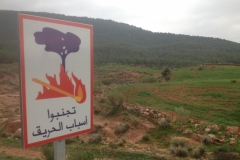 5727 31-1 No firessign