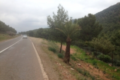 5730 31-1 roadview