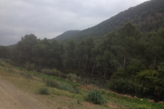 5731 31-1 view