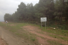 5733 31-1sign